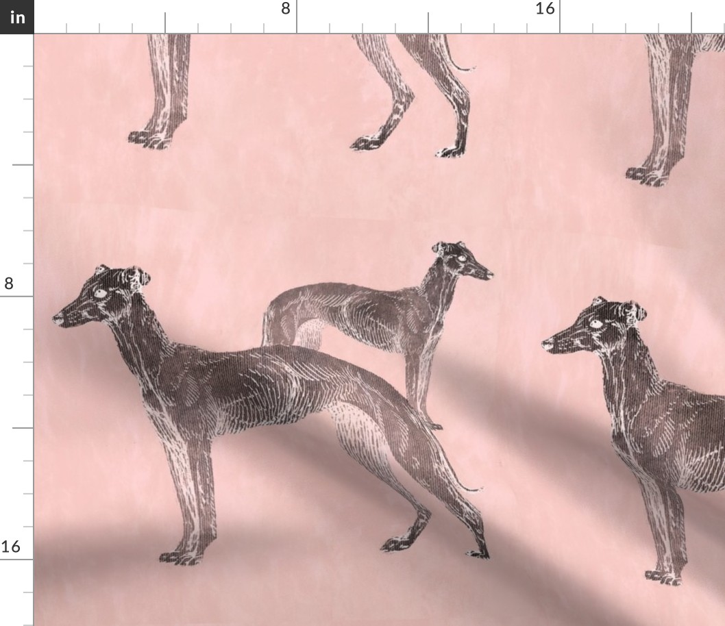 Pink greyhounds