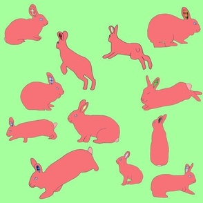 pinkbunniesongreen