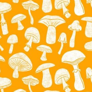 Marigold Mushrooms by Angel Gerardo
