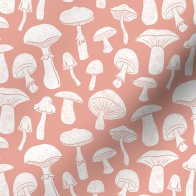 Pink Mushrooms by Angel Gerardo