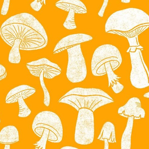 Marigold Mushrooms by Angel Gerardo - Large Scale
