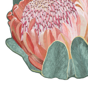 Protea pillow