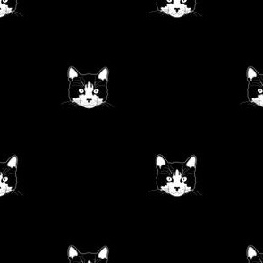 cat cats feline kitty kitten meow pet animal animals dark moody goth gothic magic witchcraft witch companion friend black cat witchy witchy friend dots polka dots baby black & white