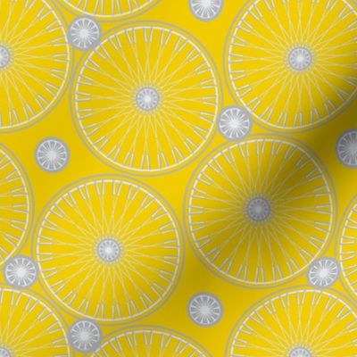 bicycle wheels and gears - meyers lemon