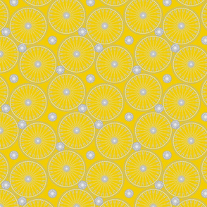 bicycle wheels and gears - meyers lemon