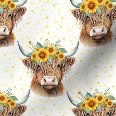 Scottish Highland Cows and Sunflowers