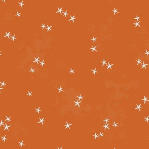 Pumpkin Stars { orange }