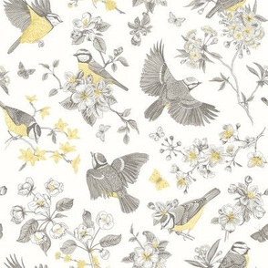 Birds. Yellow and gray