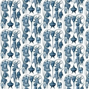 Ernst Haeckel Peridinea Prussian Blue Ditsy