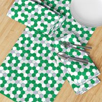 Green White Hex School Colors