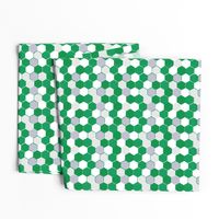 Green White Hex School Colors