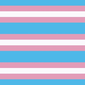 Trans Flag Fabric