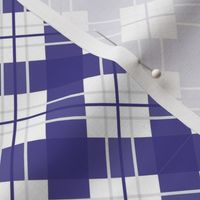 Purple White Plaid School Colors