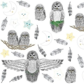 Owl's Nest Moon And Stars