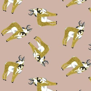 Gilwell Antelopes on Taupe