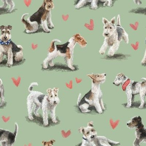 The Fox Terrier Green Version