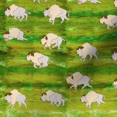 White Buffalo Herd Grass