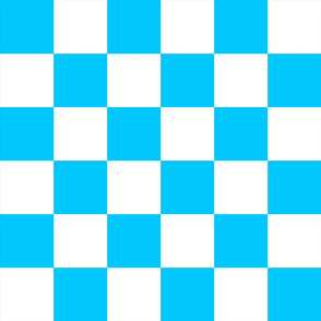 Checker Board - Truest Blue White