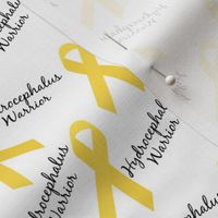 Small Scale Hydrocephalus Warrior Ribbons