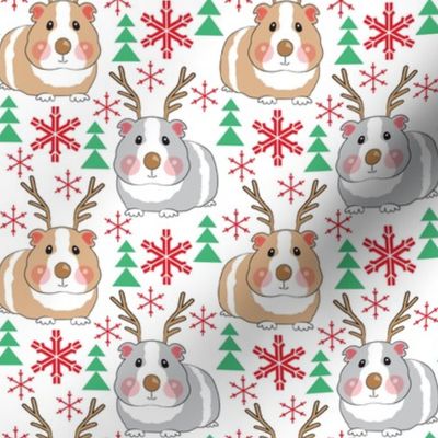 medium christmas reindeer guinea pigs