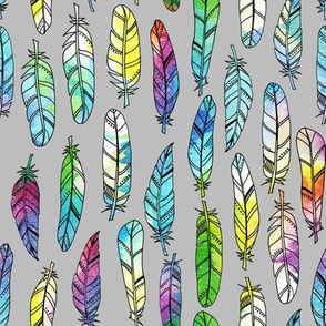 Feathers - painted rainbow tones grey background