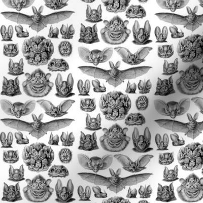 Ernst Haeckel Bats Black & White Ditsy