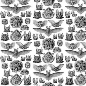 Ernst Haeckel Bats Black & White Ditsy