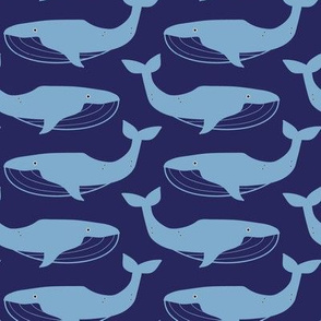 little creatures_nautical whales blue on navy