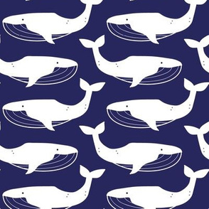 little creatures_nautical whales white on navy