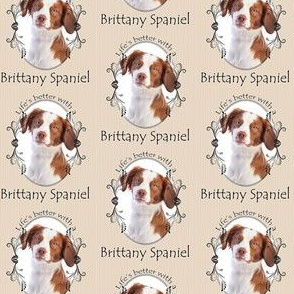 Brittany Spaniel