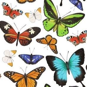 Rainbow Butterflies - large scale