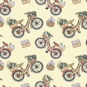 Bicycles With Flower Baskets 