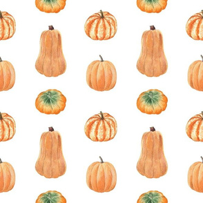 Pumpkin autumn