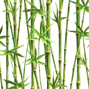 bamboo pattern 1