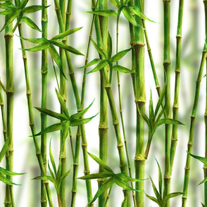 bamboo pattern on white
