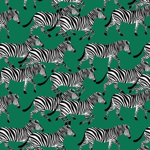 (small scale) zebras on emerald  - LAD20