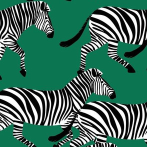 zebras on emerald  - LAD20