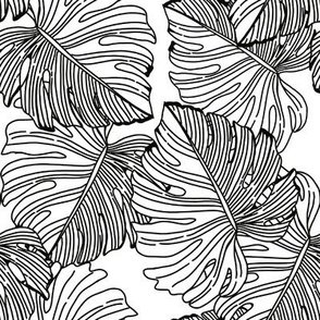 Black and white monstera leaf 