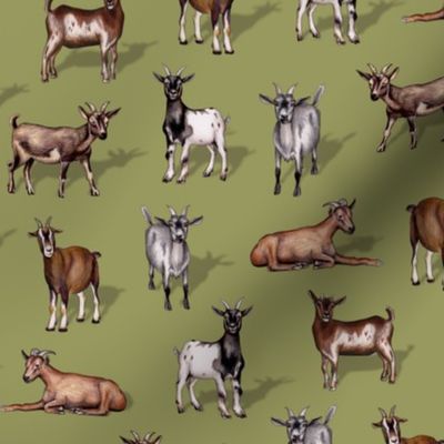 Goats on Green - Goat Herd Pattern