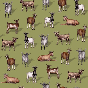 Goats on Green - Goat Herd Pattern