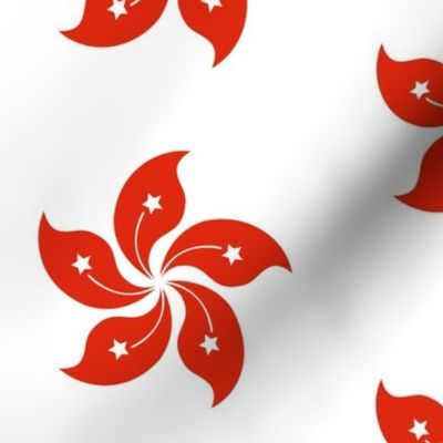 hong kong flag