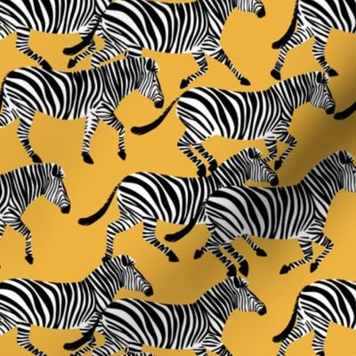 (med scale) zebras on yellow - LAD20