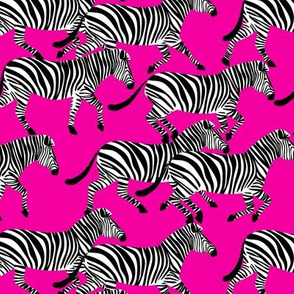 (med scale) zebras on fuchsia - LAD20