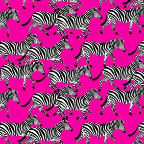 (small scale) zebras on fuchsia - LAD20