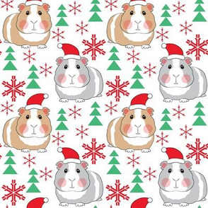 medium guinea pigs with santa hats