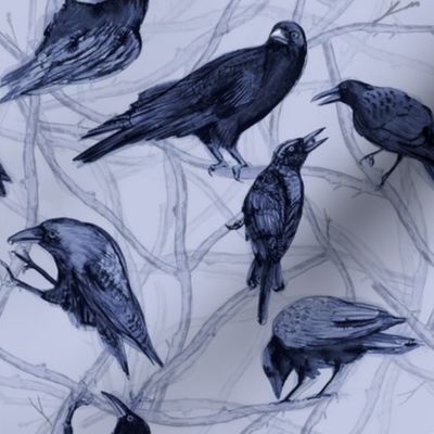 Blue Black Crows