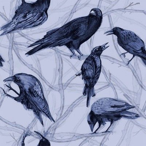 Blue Black Crows