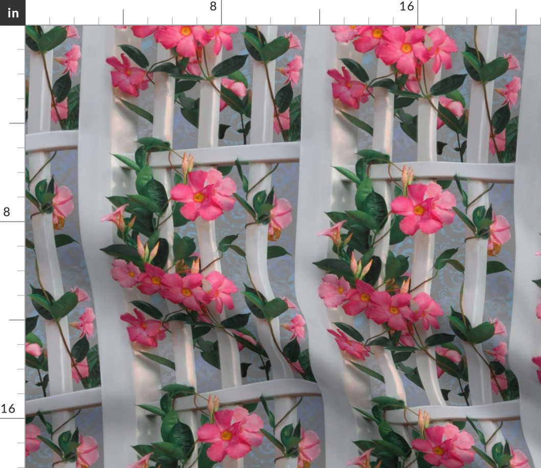 8x11-Inch Repeat of Coral Mandevilla with Gray Tie Dye Background