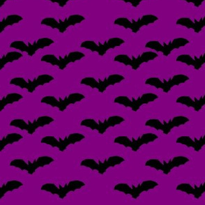 Spooky Scary Bats