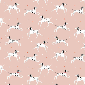 Funny dalmatian on pink